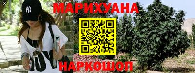 бошки Ставрополь