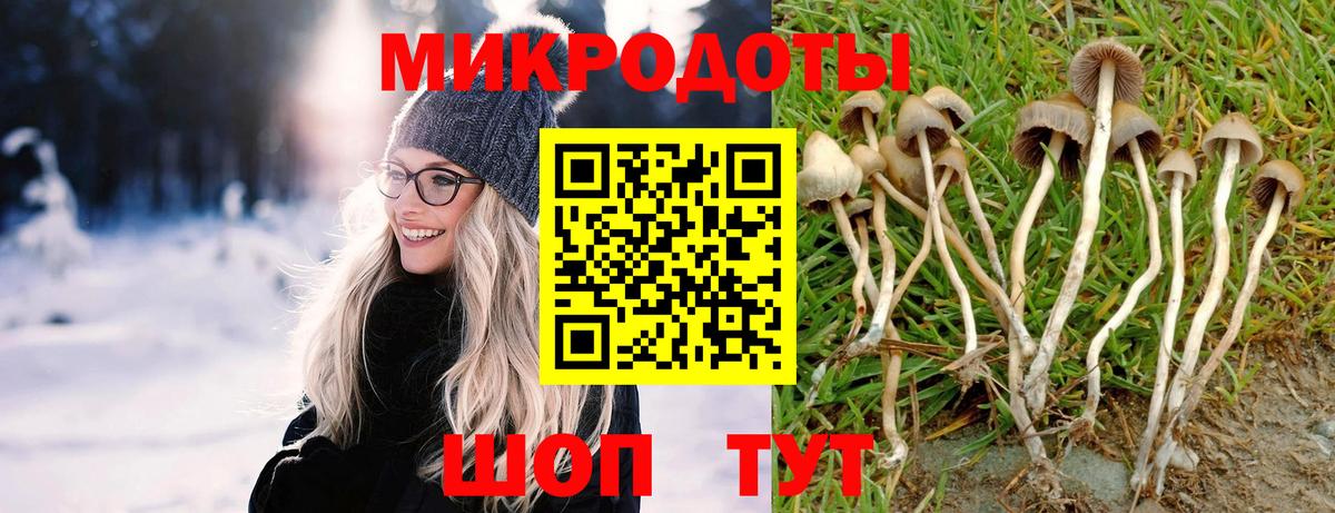 Осинники  Галлюциногенные грибы Cubensis  Вход с VPN 