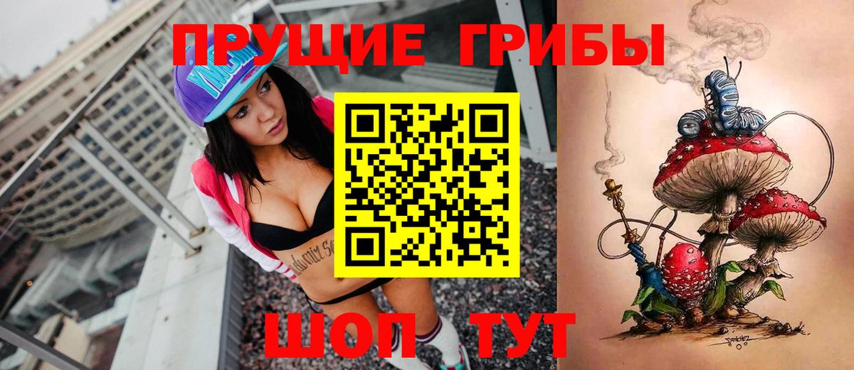 Псилоцибиновые грибы прущие грибы Осинники