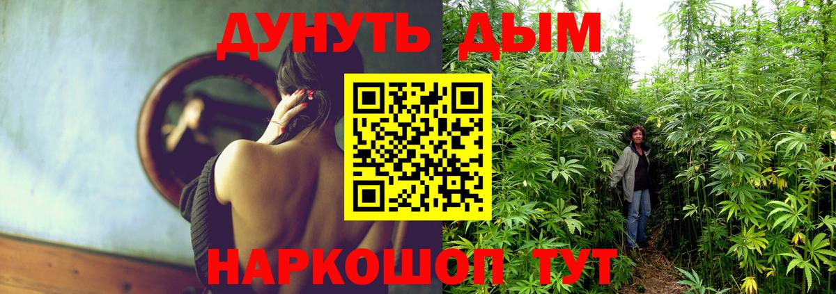Бошки марихуана гибрид  Канабис индика  Каннабис индика  Вход с VPN  Осинники 
